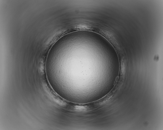 X0000113560457200910021559