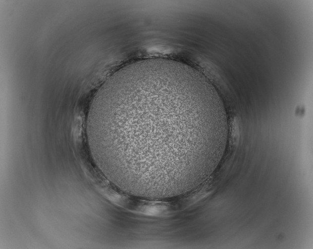 X0000113560463200910021559