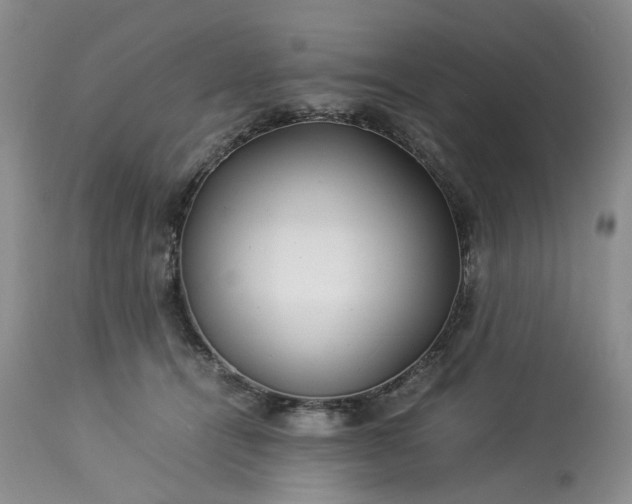 X0000113560464200910021559