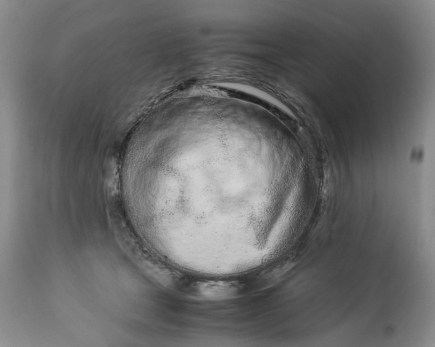 X0000113560465200910021559