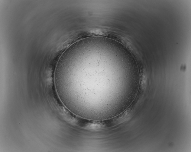 X0000113560466200910021559