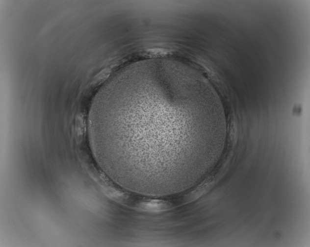 X0000113560467200910021559
