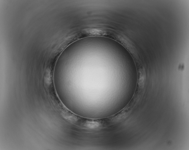 X0000113560469200910021559