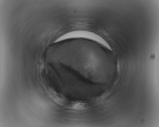 X0000113560471200910021559