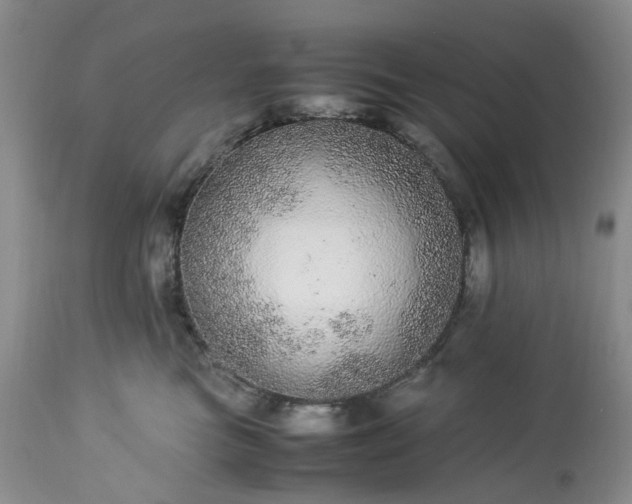 X0000113560473200910021559