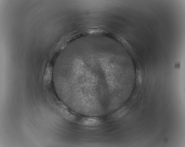 X0000113560475200910021559