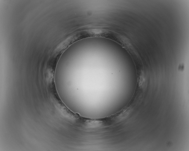 X0000113560476200910021559
