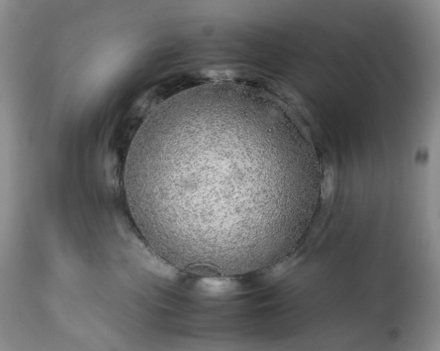 X0000113560477200910021559