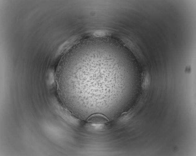 X0000113560478200910021559