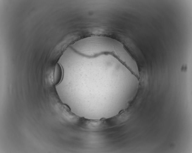 X0000113560479200910021559