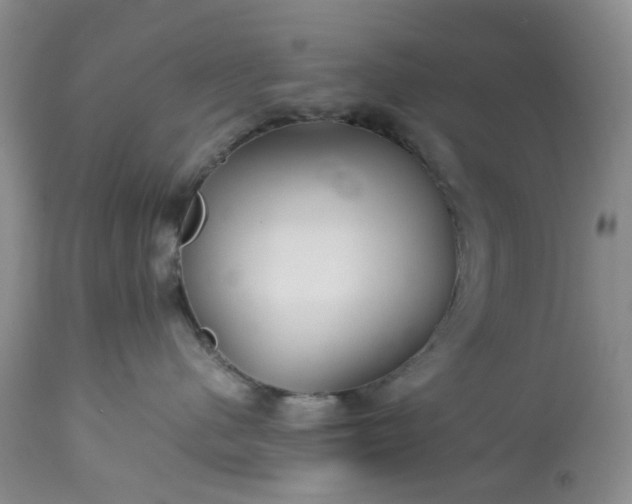 X0000113560480200910021559