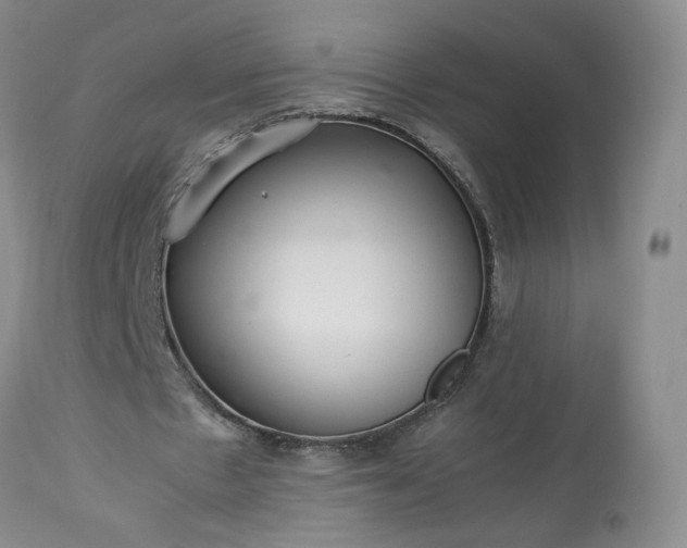 X0000113560481200910021558