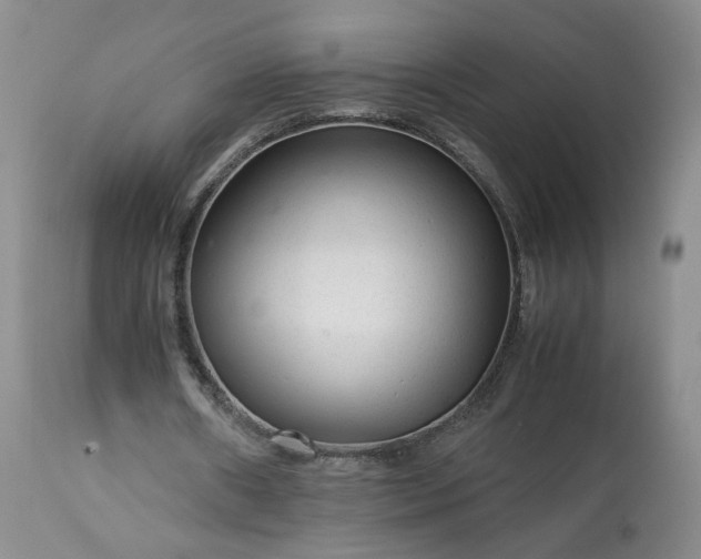 X0000113560482200910021558