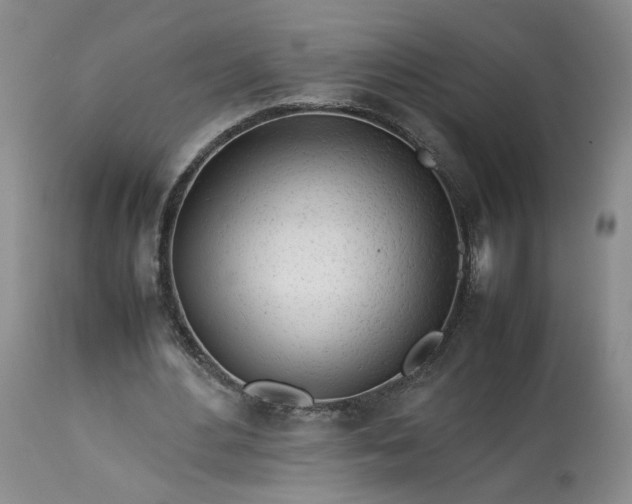 X0000113560484200910021558