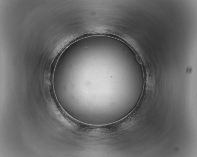 X0000113560485200910021558