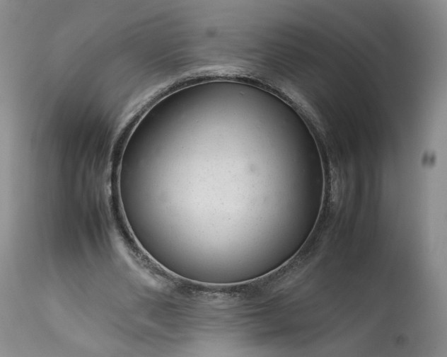 X0000113560486200910021558