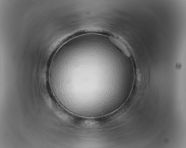 X0000113560487200910021558