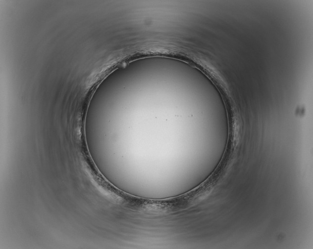 X0000113560489200910021558