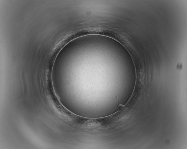 X0000113560491200910021558