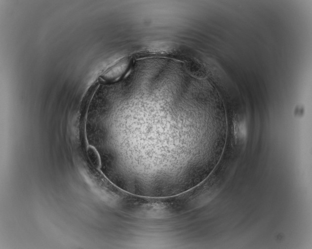 X0000113560492200910021558