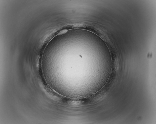 X0000113560495200910021558