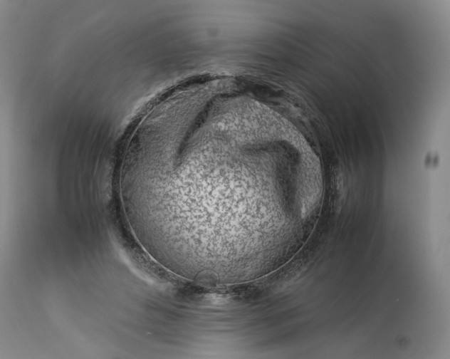 X0000113560496200910021558