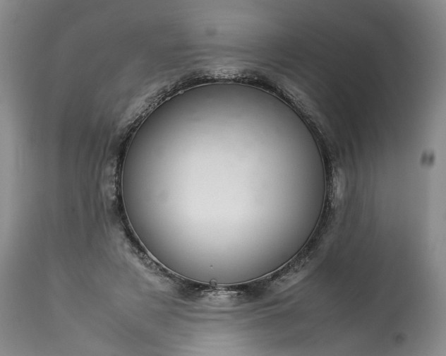 X0000113560497200910021558