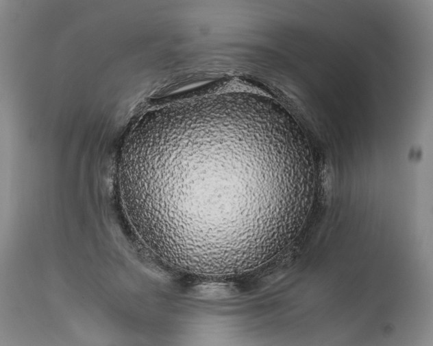 X0000113560499200910021558
