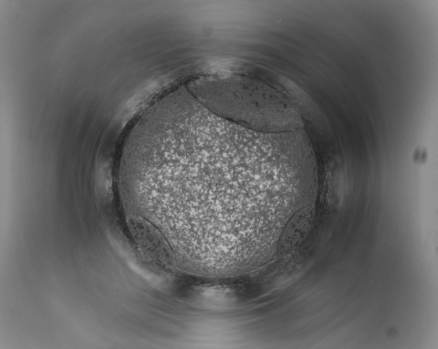 X0000113560500200910021558