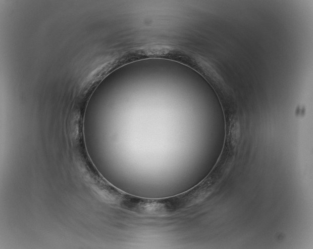 X0000113560501200910021558