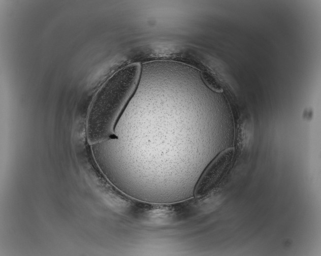 X0000113560505200910021558