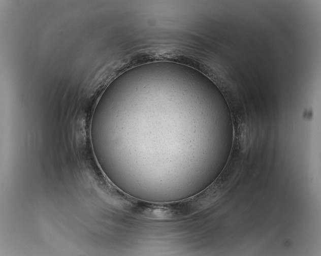 X0000113560506200910021558