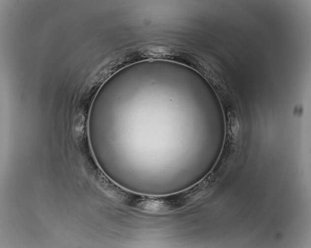 X0000113560507200910021558