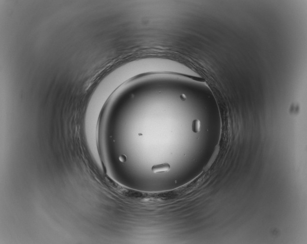 X0000113560508200910021558