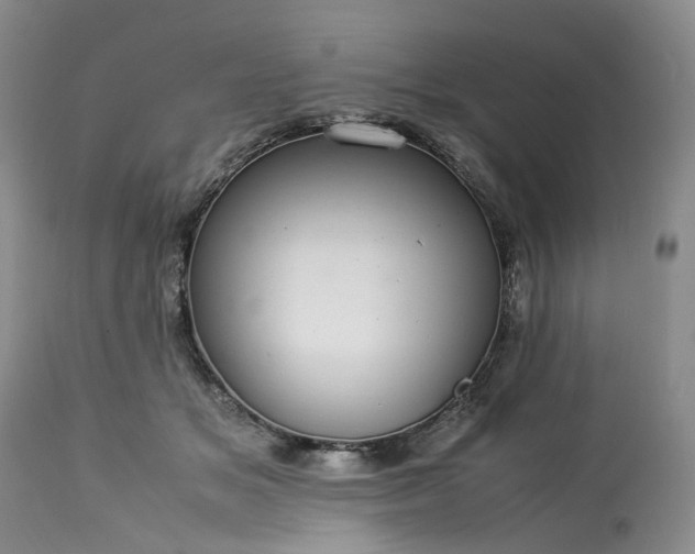 X0000113560509200910021558
