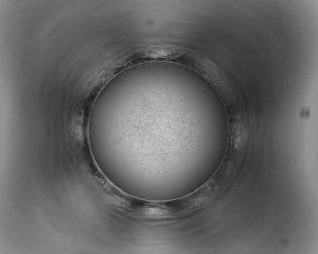 X0000113560510200910021558
