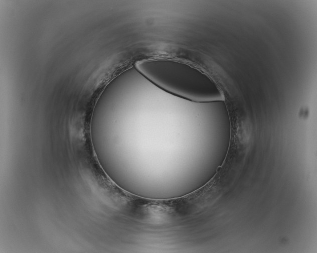 X0000113560512200910021558