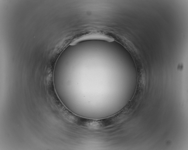 X0000113560513200910021558