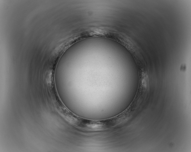 X0000113560514200910021558