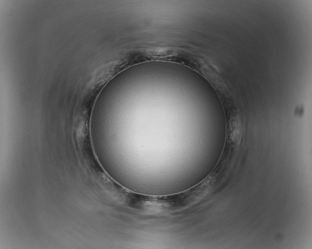 X0000113560515200910021558