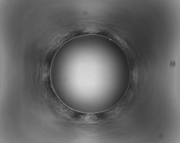 X0000113560517200910021558