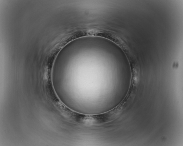 X0000113560519200910021557