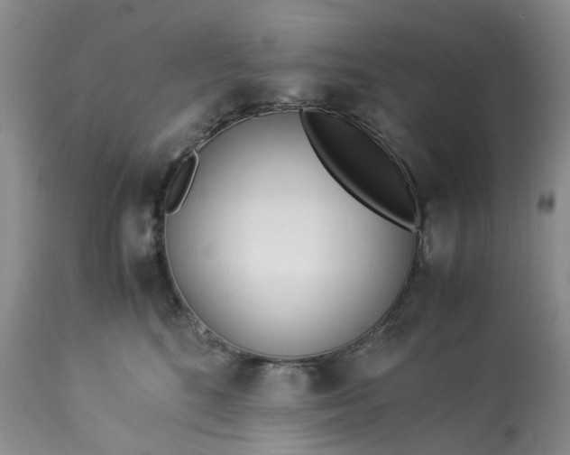 X0000113560520200910021557