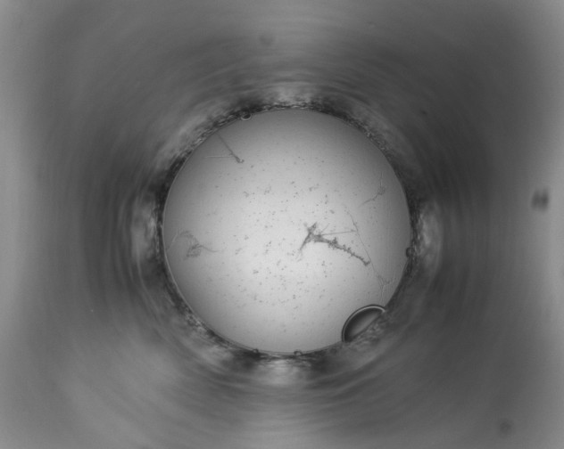 X0000113560522200910021557