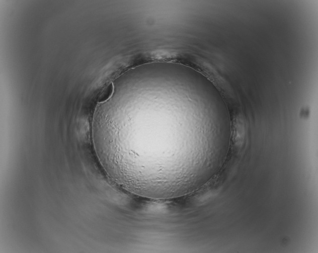X0000113560523200910021557