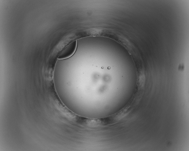 X0000113560525200910021557