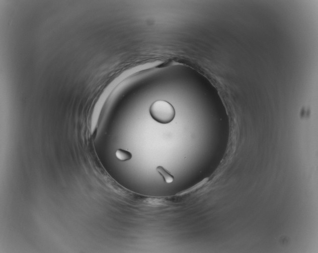 X0000113560528200910021557