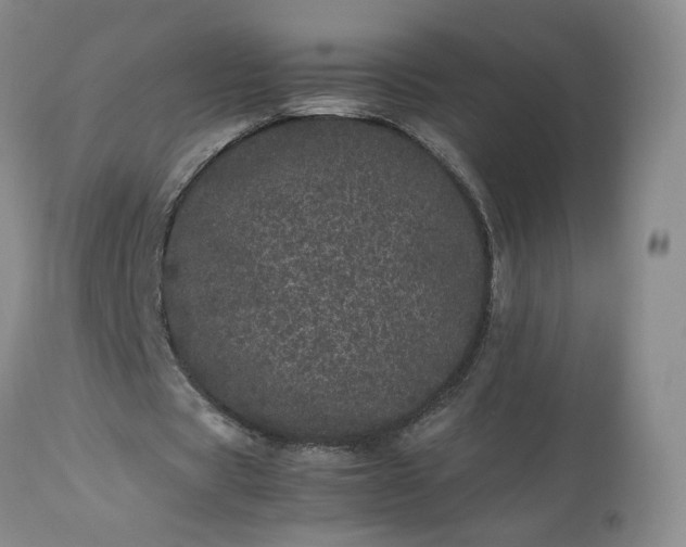 X0000113560529200910021557