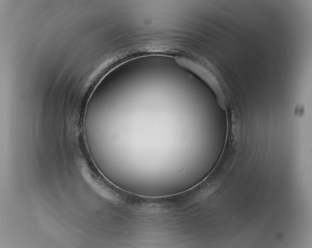 X0000113560530200910021557