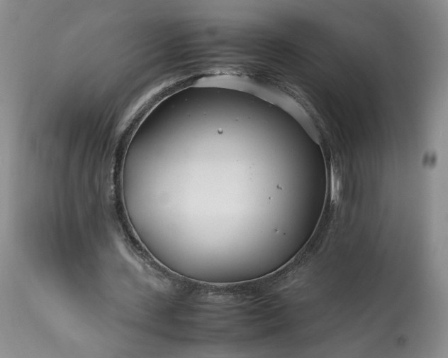 X0000113560531200910021557